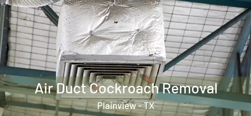  Air Duct Cockroach Removal Plainview - TX