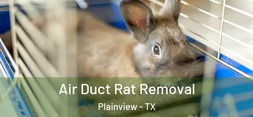  Air Duct Rat Removal Plainview - TX