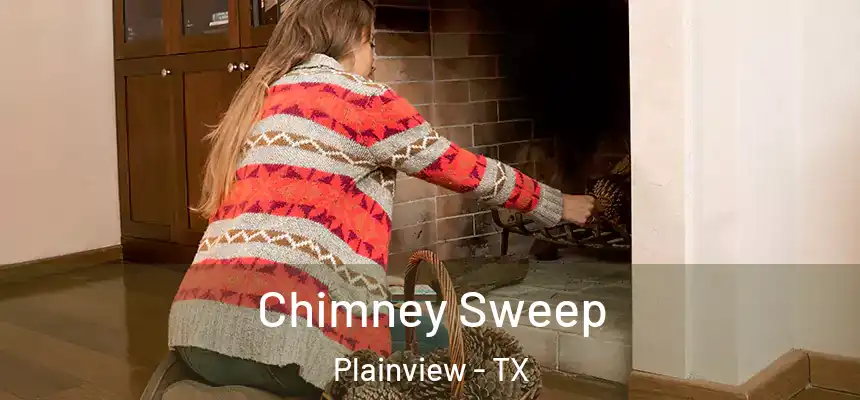  Chimney Sweep Plainview - TX