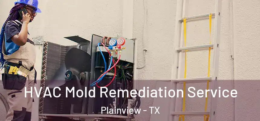 HVAC Mold Remediation Service Plainview - TX