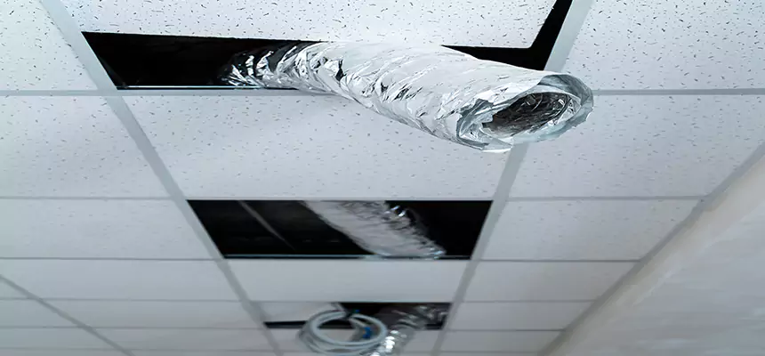 Our Air Duct Pet Hair Removal Services in Plainview, TX