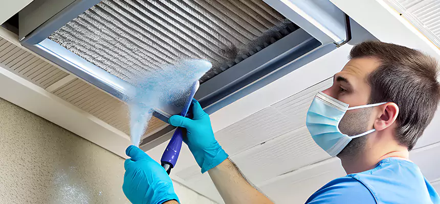 Proactive Dryer Vent & Auxiliary Duct Pollen Cleanup in Plainview, TX