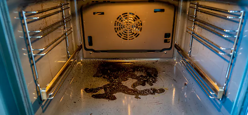 Our Dryer Vent Mold Cleaning Services in Plainview, TX