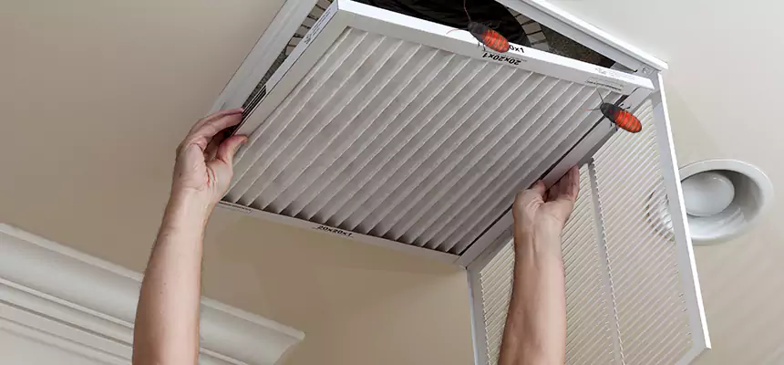 Our Insect Removal from Air Ducts Services in Plainview, TX