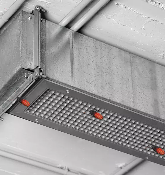 About Air Duct Cockroach Removal in Plainview, TX