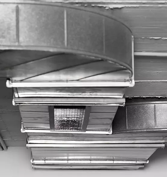 Professional Air Duct Pest Removal in Plainview, TX